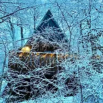 Cosy Chalet