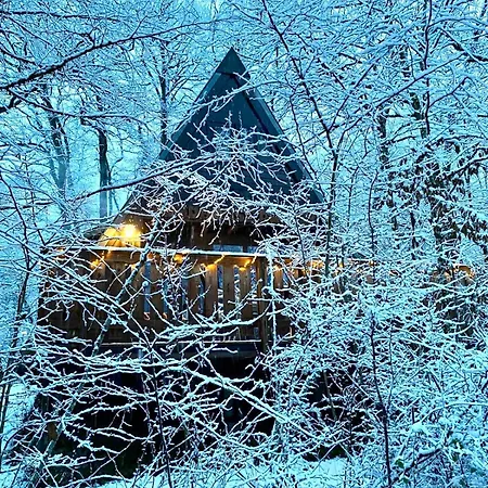 Cosy Chalet